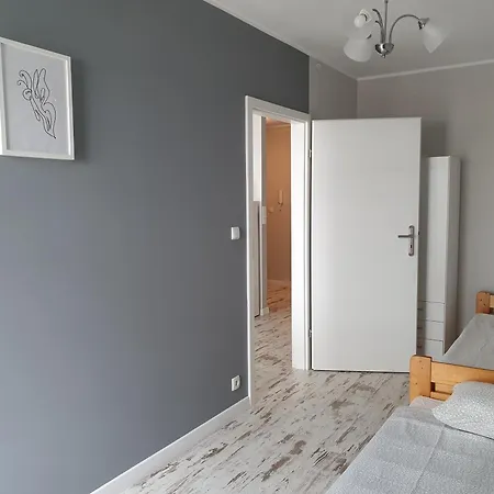 Grey Goose V * Władysławowo