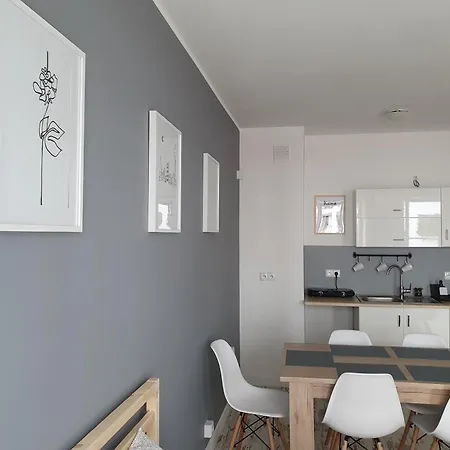 Grey Goose V Władysławowo